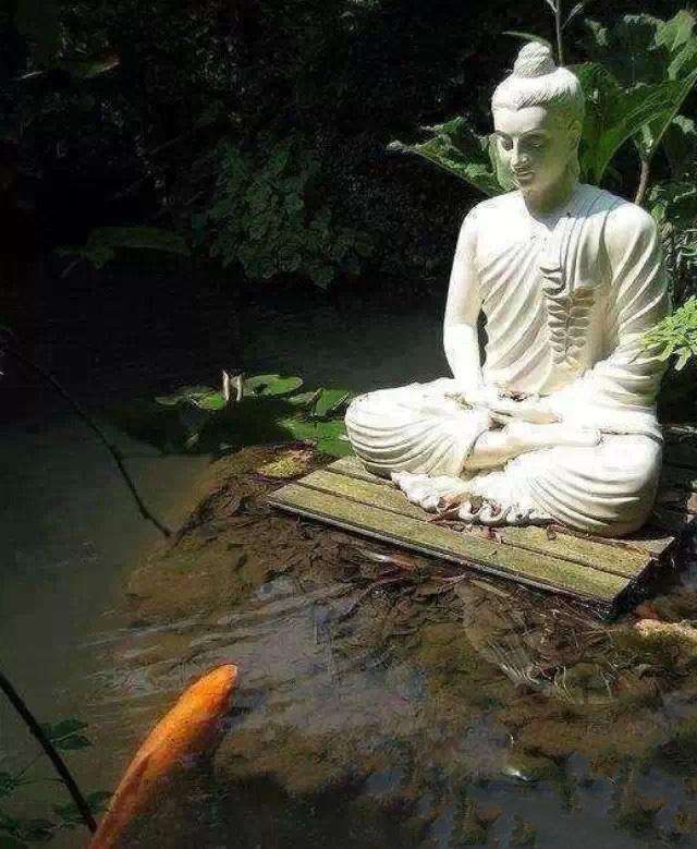 佛教放生